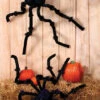 Fun World Giant 8ft Light-up Spider