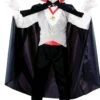 Fun World Classic Vampire Child Costume
