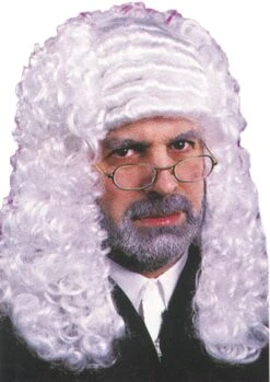 Fun World Wig Judge White