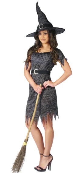 Fun World Twilight Witch Adult Costume, (M-L)
