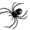 Fun World Black Widow Spider 6inch
