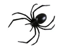 Fun World Black Widow Spider 6inch