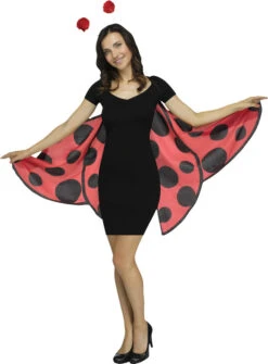 Fun World Lady Bug Wings Soft
