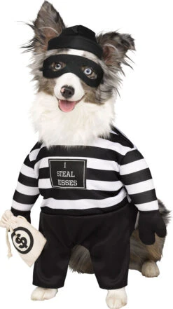 Fun World Robber Pup Pet Costume