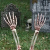 Fun World Skeleton Arms Prop