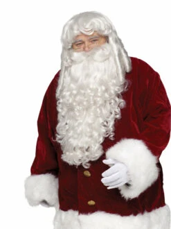 Fun World Professional Santa Wig & Beard