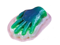 Fun World Gelatin Hand Mold
