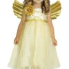 Fun World My Angel Baby Toddler Costume