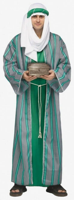 Fun World Green Wise Man Adult Costume